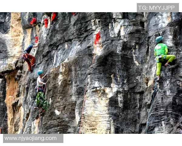 攀岩战术排行榜：南京攀岩队位居第7名